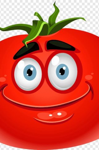 томат ( помидор ) семена