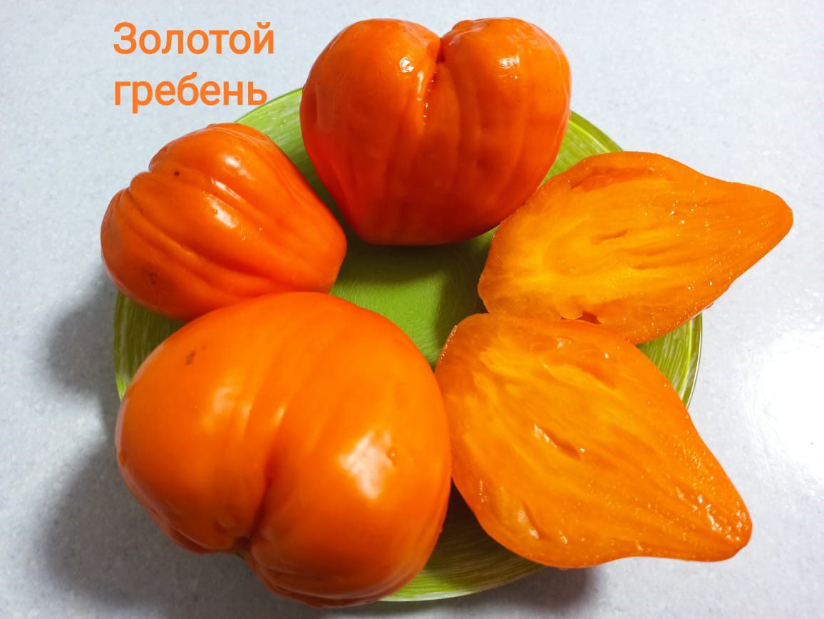 Томат Золотой гребень 10 шт
