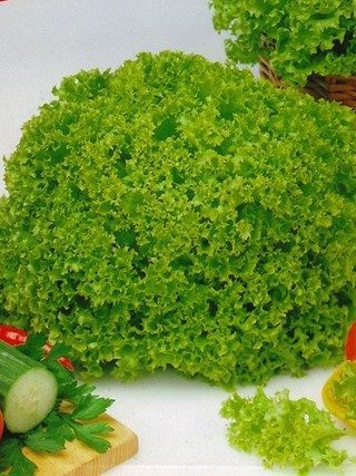 Салат Лолло Бионда 0,5 г