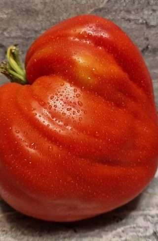 Томат Большая Красная кукла 10 шт